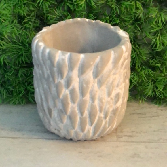 Small Natural Cement Concrete Hedgehog Planter Pot & 2 Pairs of Socks Gift Set - Picture 4 of 11